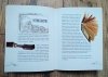 Wśród mistrzów i partaczy. Katalog wystawy